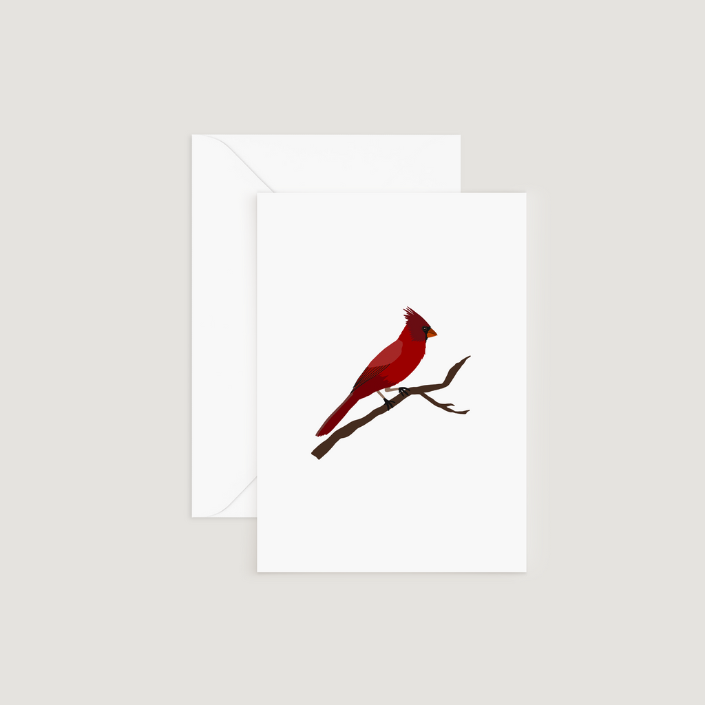 Greeting Card, Cardinal