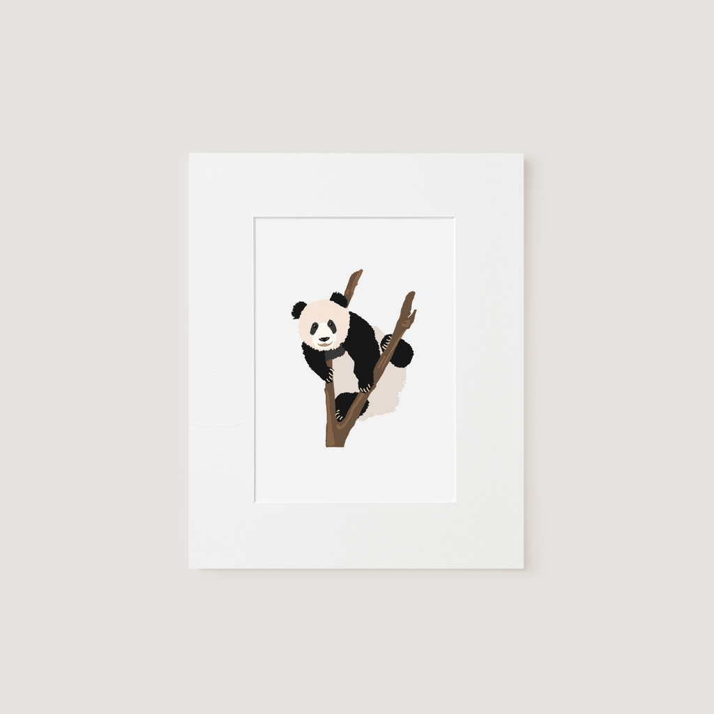 Matted Art Print, National Zoo / Panda